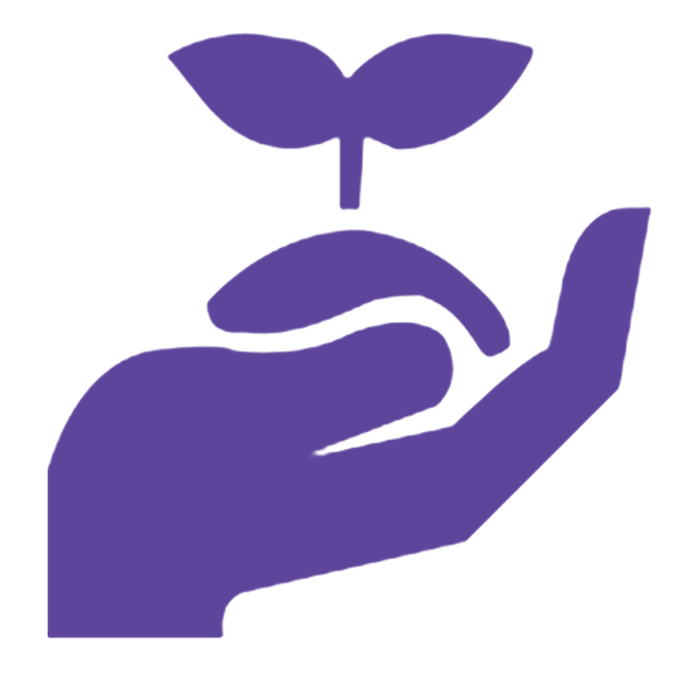 value icon