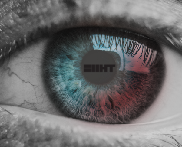 Our Vision
