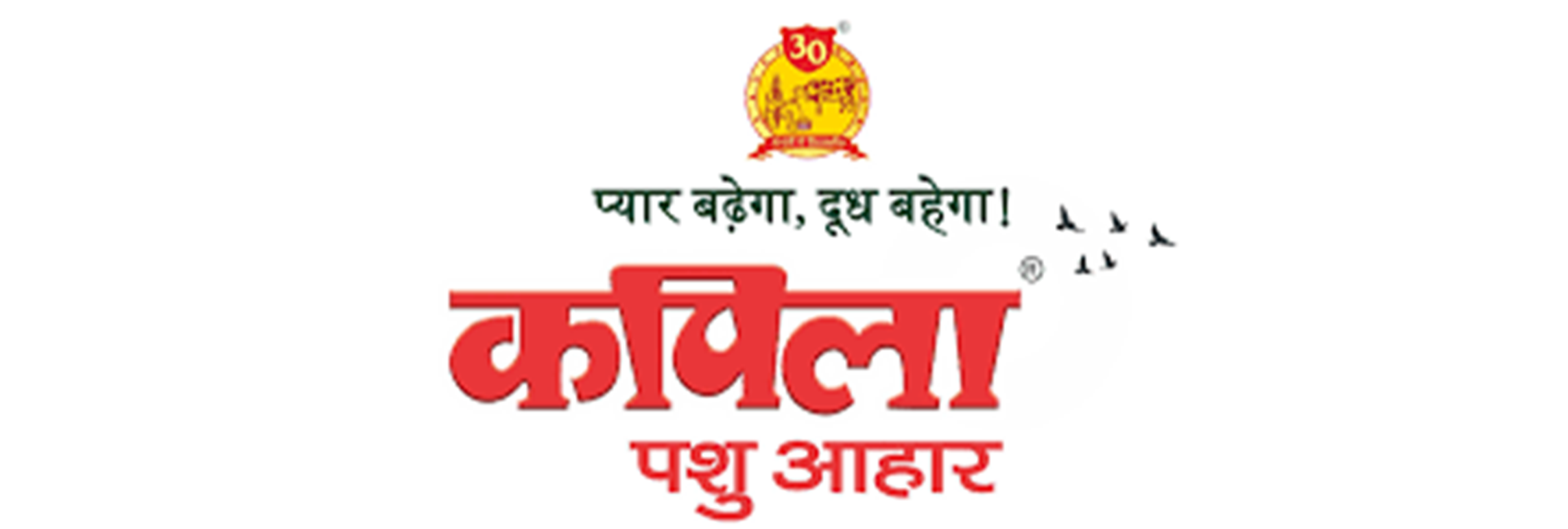Brands Logo
